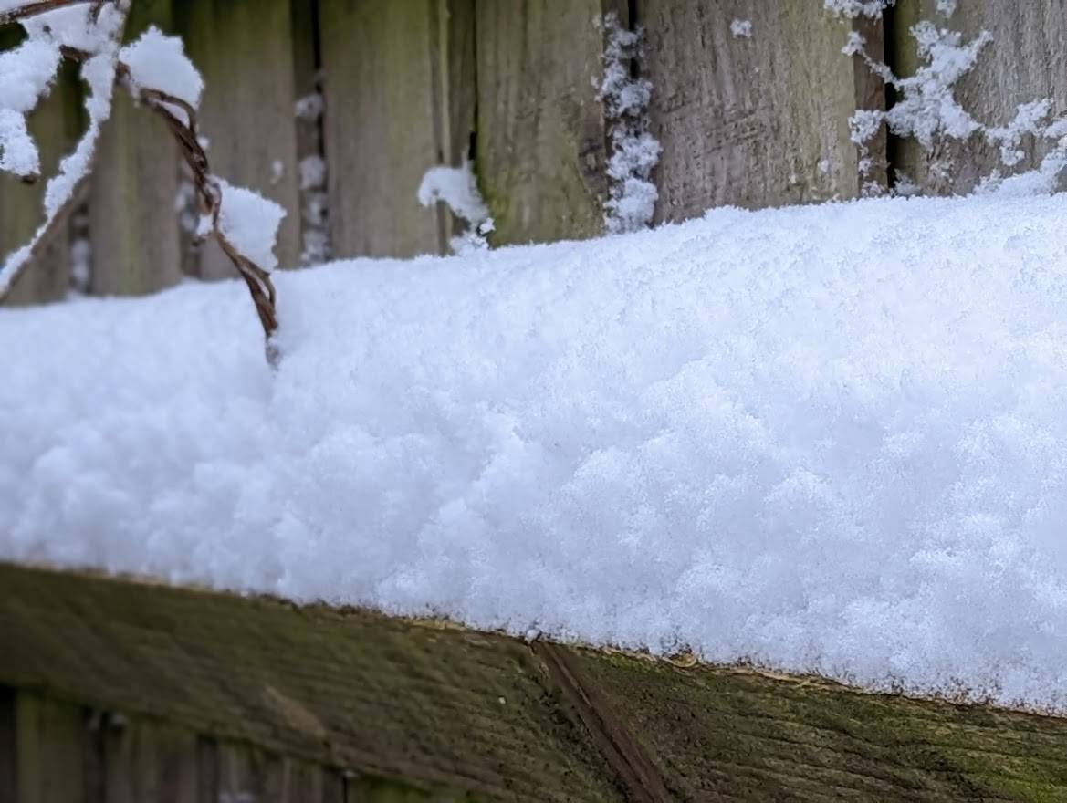 Berkhamsted, Herts, Snow on the garden fence...