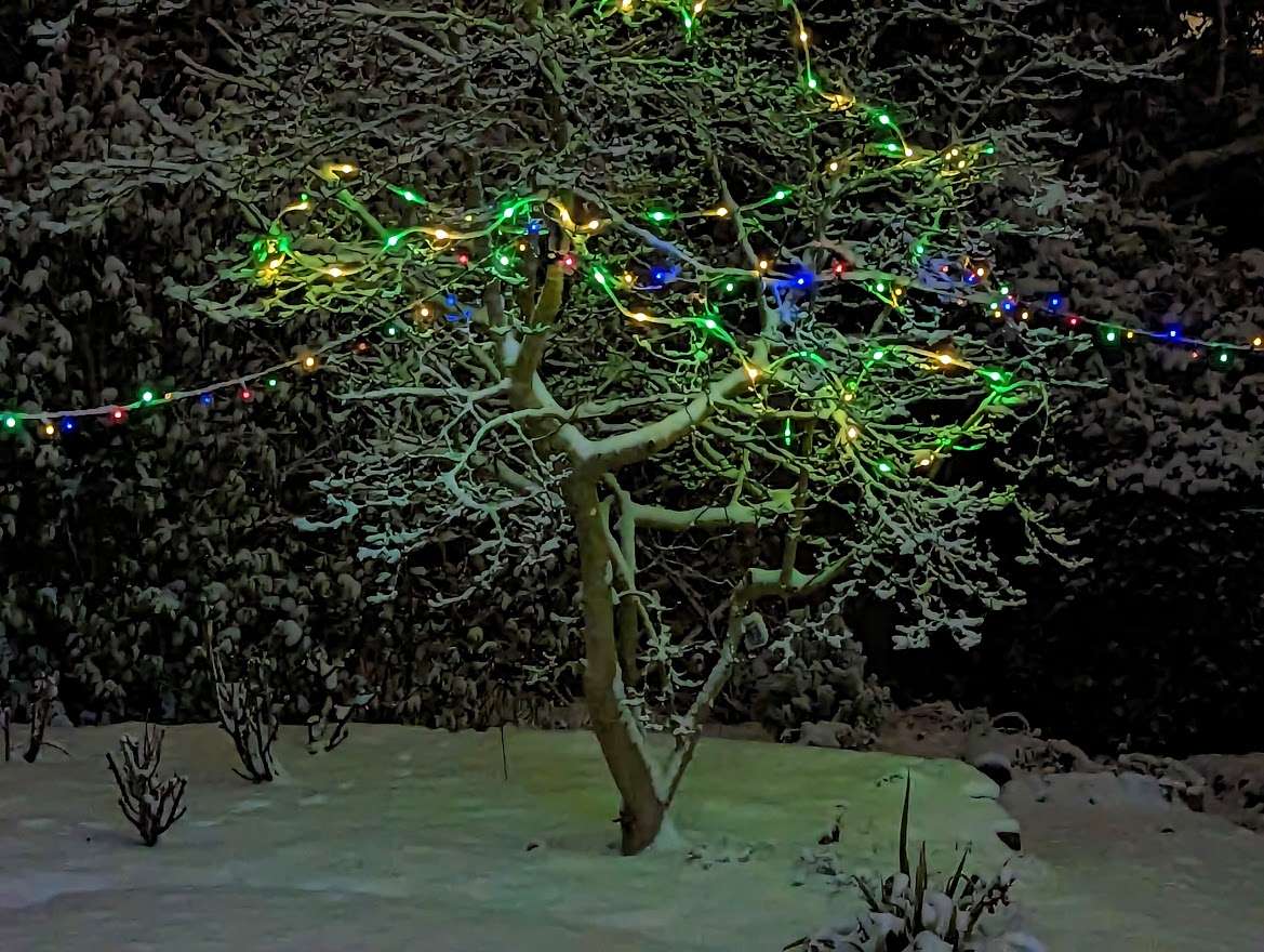 Berkhamsted, Herts, Christmas lights in the snow...