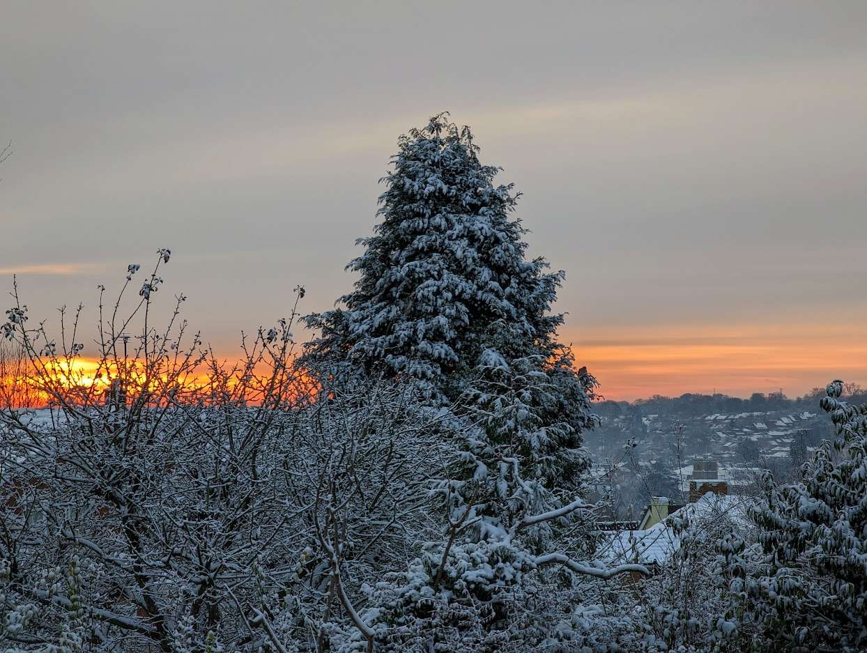 Berkhamsted, Herts, Wintry sunrise in the Chilterns...