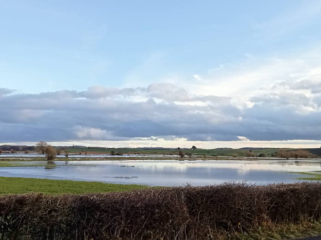 Floods returning Bridgwater, Somerset,United Kingdom, sent by davetoonmaniac