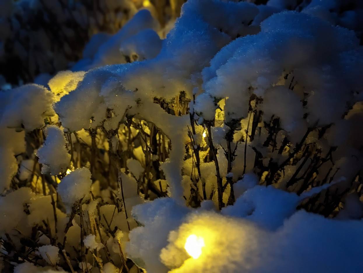 Berkhamsted, Herts, Christmas lights under the snow...