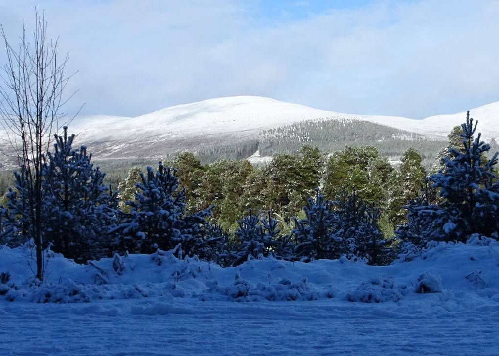 Aviemore, Strathspey, View to N over L Morlich towards Herder's Ridge. 03 Jan 15...
