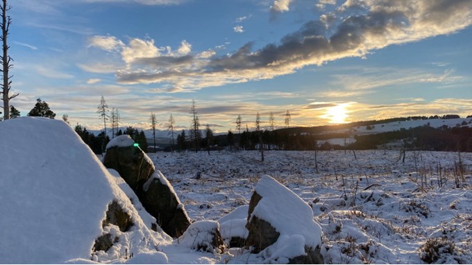 Near to Grantown on Spey. Looking towards the Cairngorms. Posted by Dizzy Daff