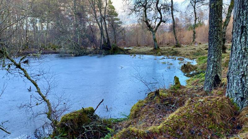 Grantown on Spey, Highlands, Old pond up behind the railway line - used to top up the steam trains in th...