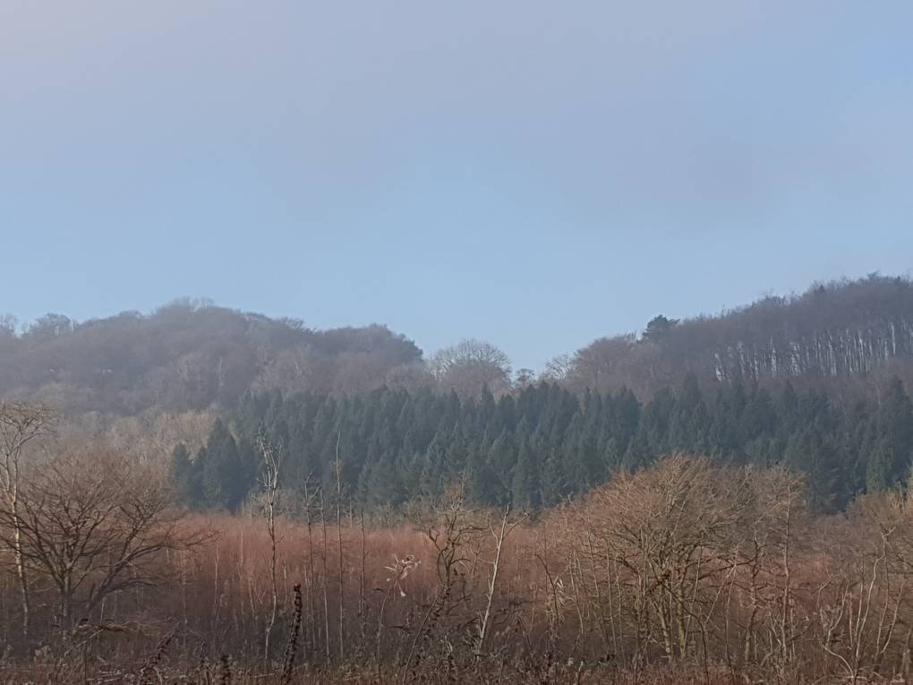 Rudry, Caerphilly, Winter's day...