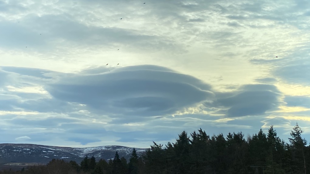 Grantown on Spey, Highlands, Flying saucer day!...