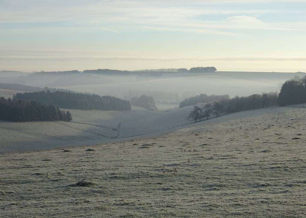 Inversion in valley, low-angle morning sun on Chalk Downs. Posted by slowoldgit