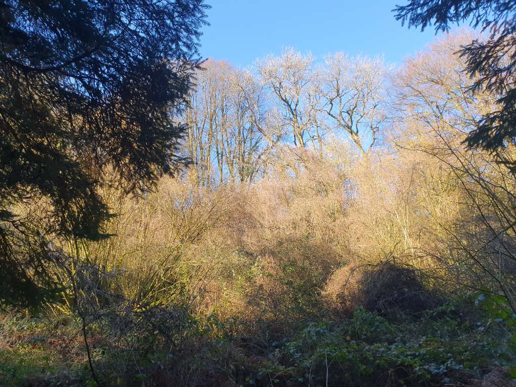 Rudry, Caerphilly, Winter's day...