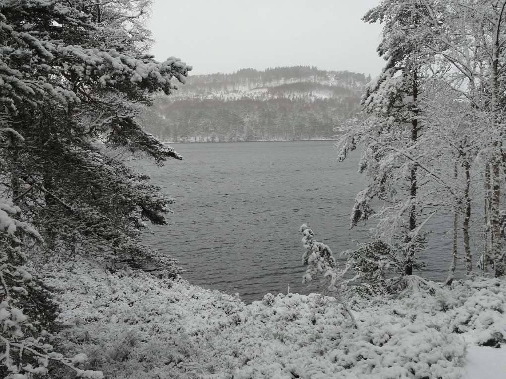 Aviemore, Strathspey, View across Loch an Eilein, 30 Jan '16. Designed gap in planted woodland fo...