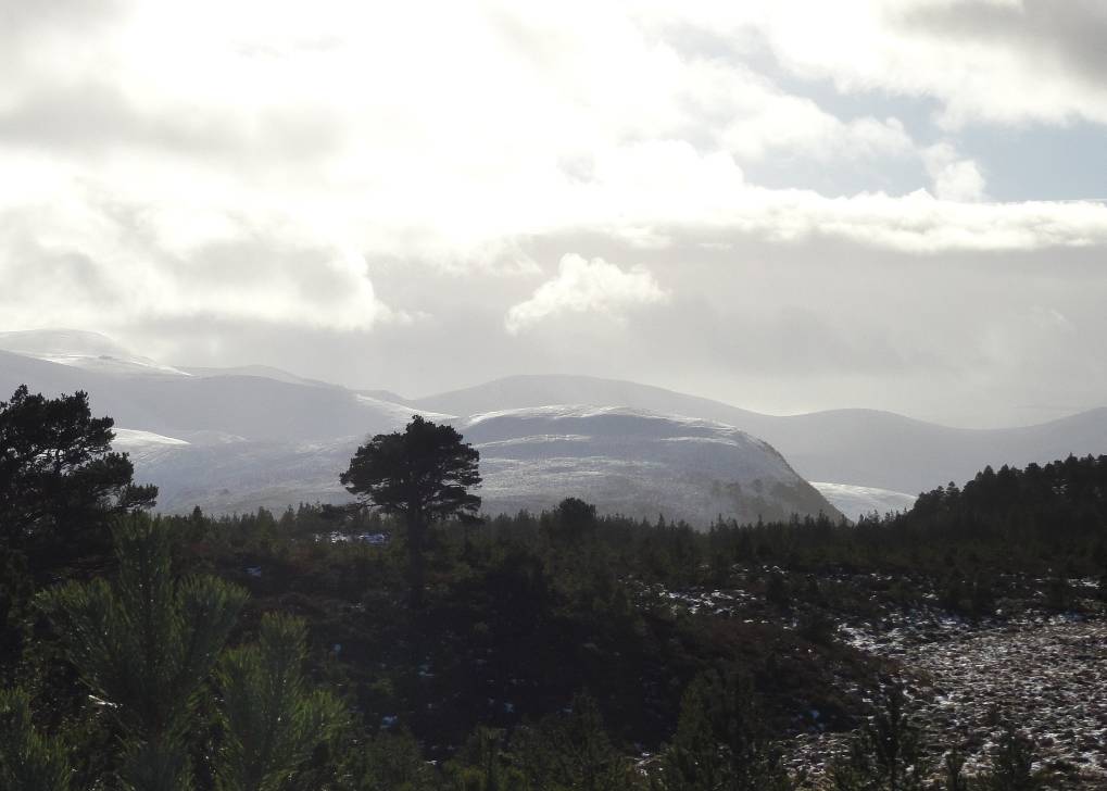 Cairngorm range from Rothiemurchus, 16 Feb '14 Aviemore, Strathspey,NE Scotland, sent by slowoldgit