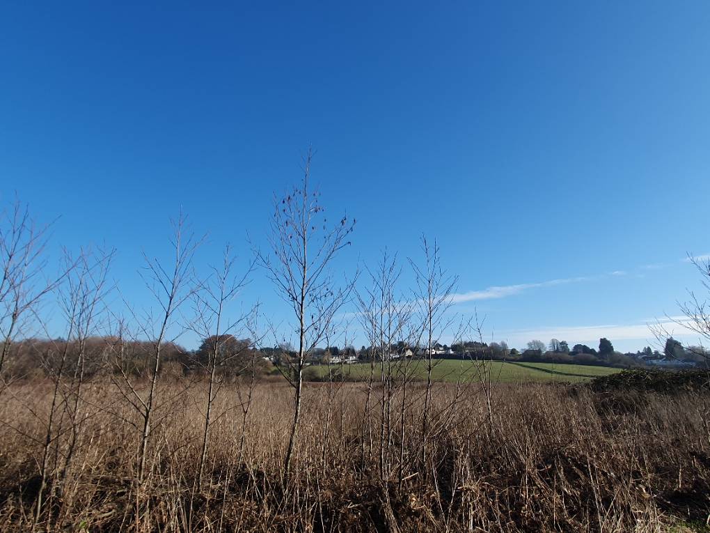 Cardiff, Cardiff, Winter's day...