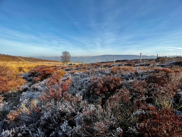 leek, staffordshire, Frosty start but pleasant in the sun....