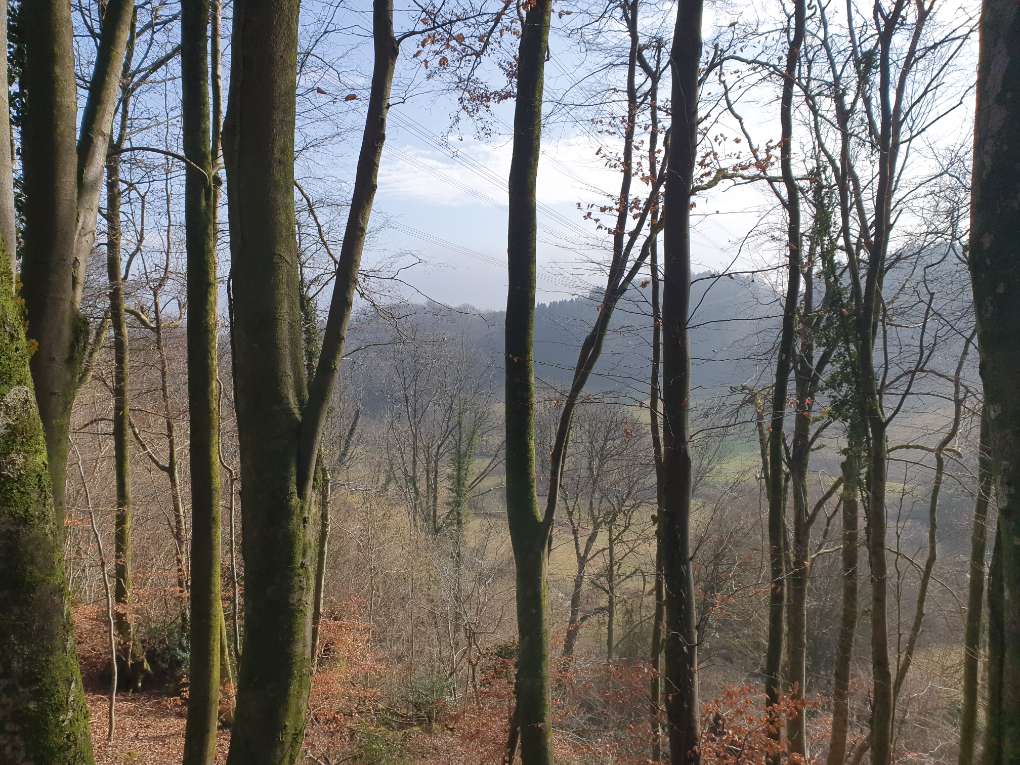 Cardiff, Cardiff, Winter's day...
