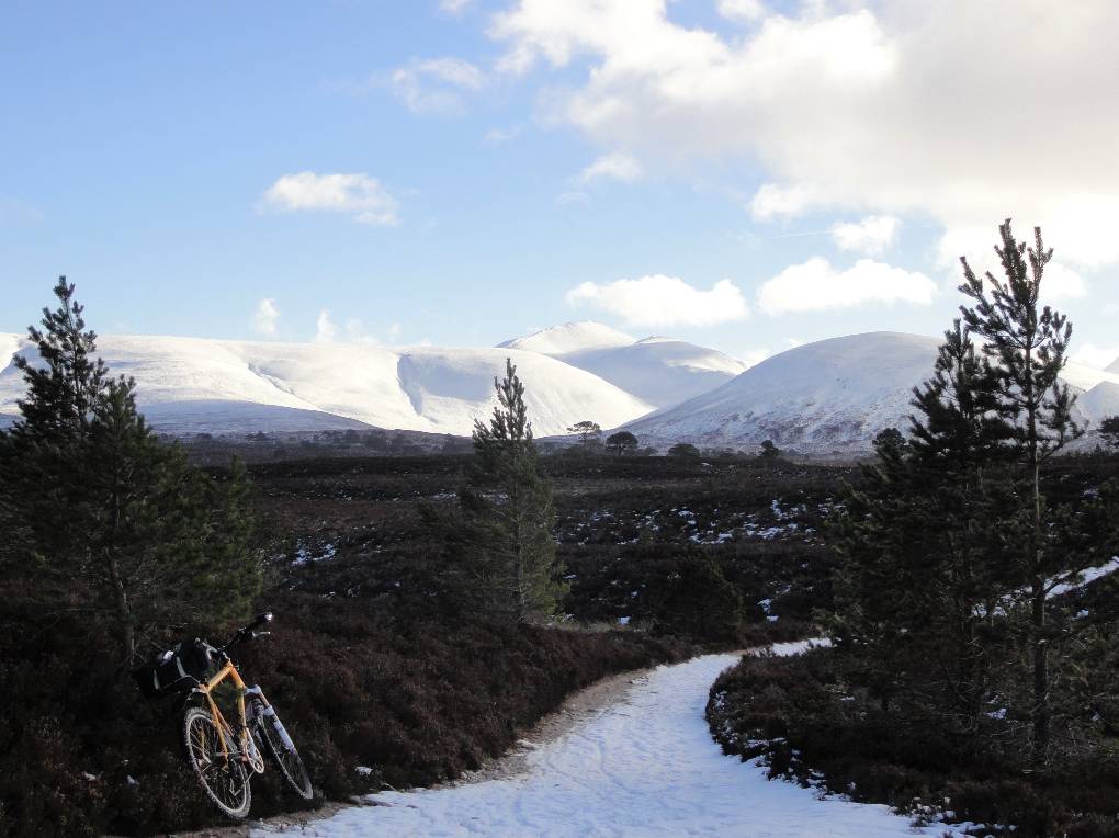 Aviemore, Strathspey, From Ryvoan Pass above Glenmore, looking S to Bynack More, centre, Cairngor...