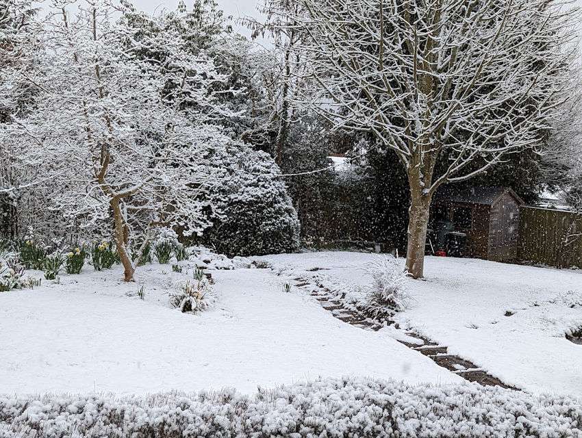 Berkhamsted, Herts, Snowing and about 3cm on the ground...
