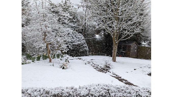 Snowing and about 3cm on the ground. Posted by Brian Gaze