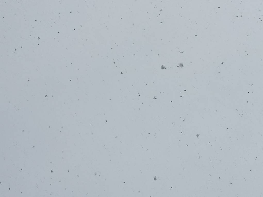Falling Snow Bridgwater, Somerset,United Kingdom, sent by davetoonmaniac
