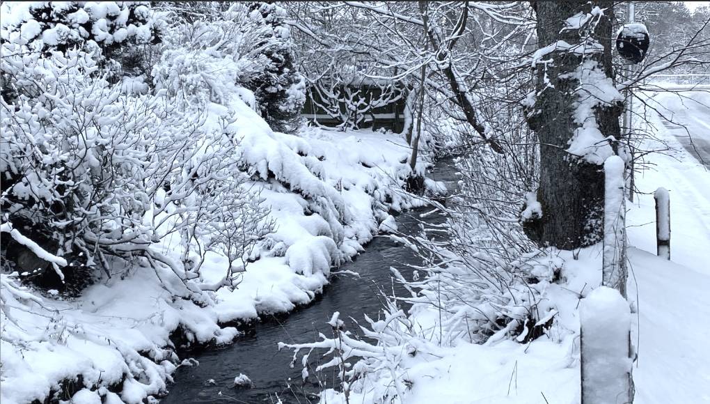 Grantown on Spey, Moray, The Kyllintra Burn on its way to the Spey...