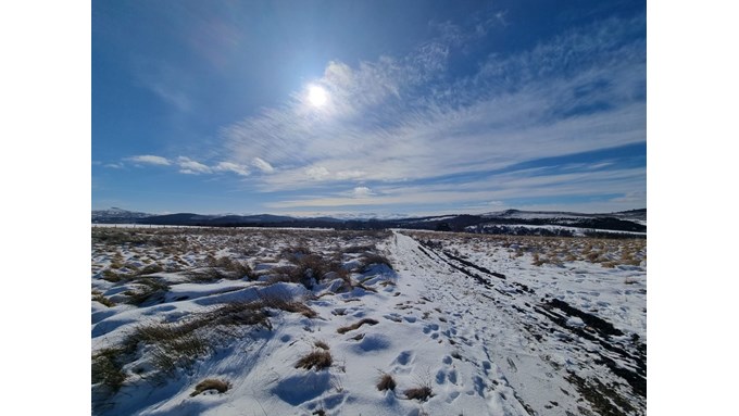 Near to Grantown on Spey. Up on the moor at lunchtime. Posted by Dizzy Daff