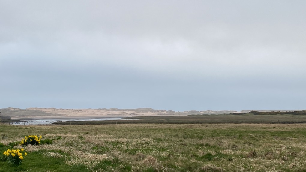Ellon, Aberdeenshire, Sand dunes at the Ythan Estuary ...