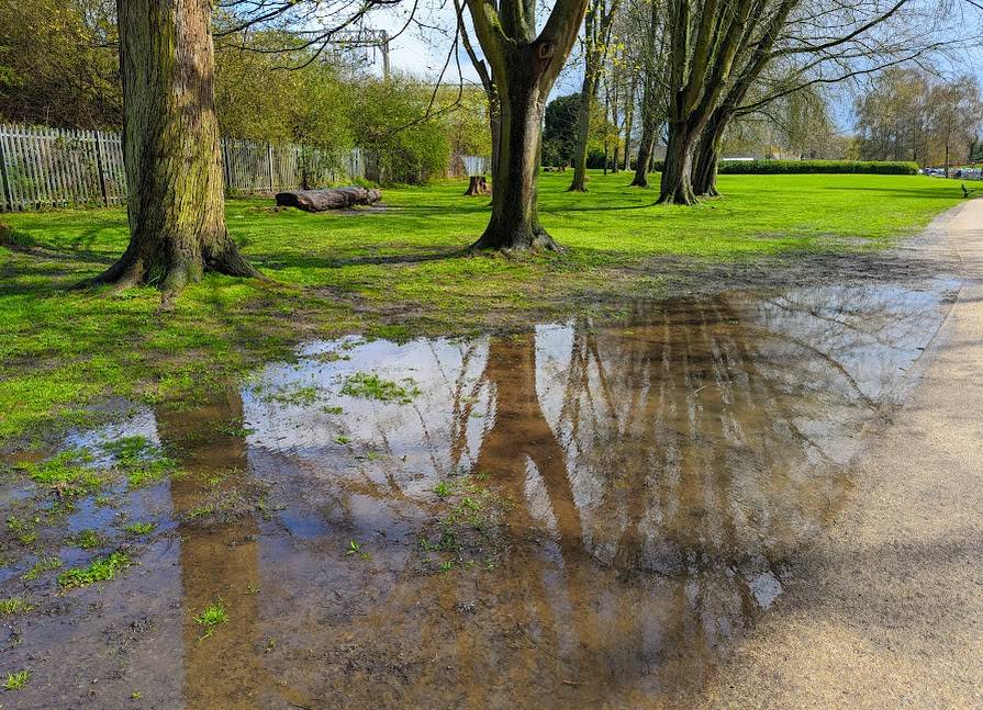 Puddles in the park Berkhamsted, Herts,, sent by Brian Gaze