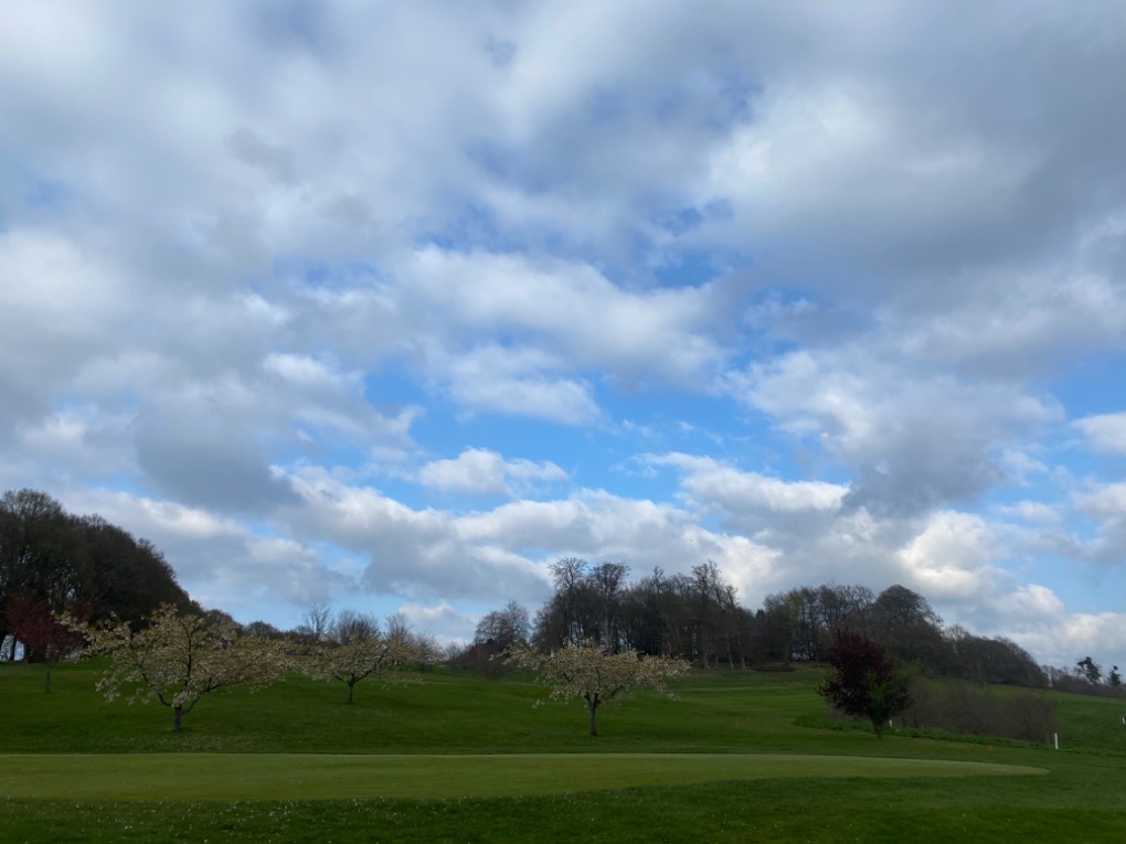 Midhurst, , The skies clear, but the Easterly wind bites!...