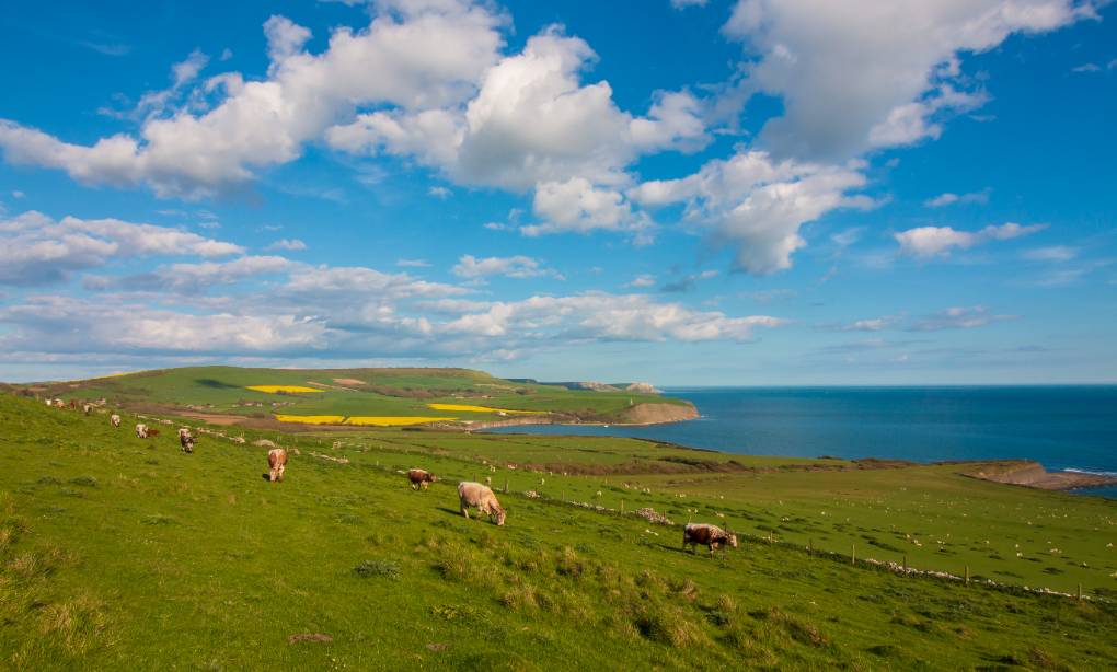 Kimmeridge, Dorset, The Long March...