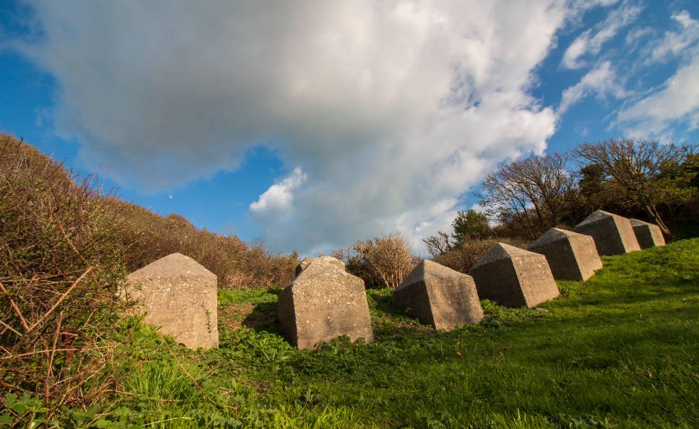 Kimmeridge, Dorset, Sowing Dragons Teeth...