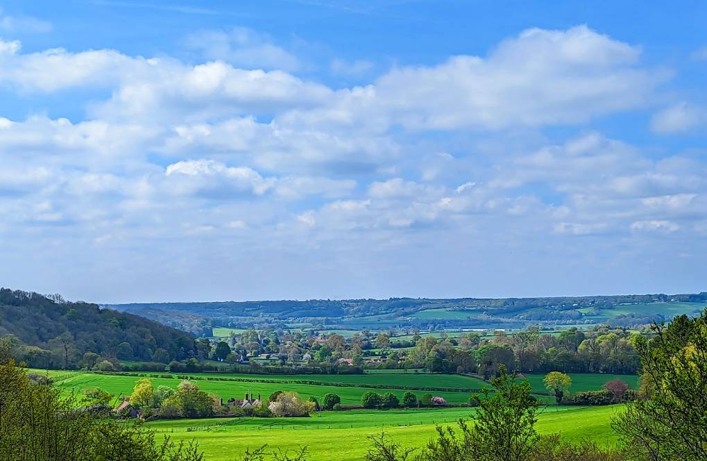 Spring in the Chilterns Berkhamsted, Herts,, sent by Brian Gaze