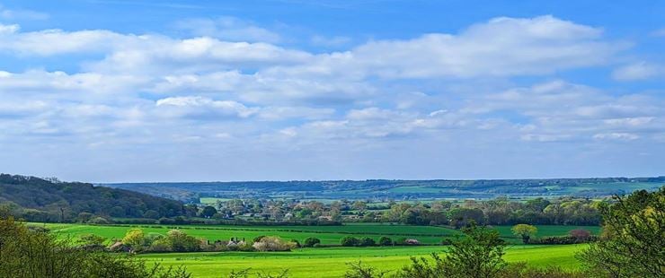Spring in the Chilterns. Posted by Brian Gaze