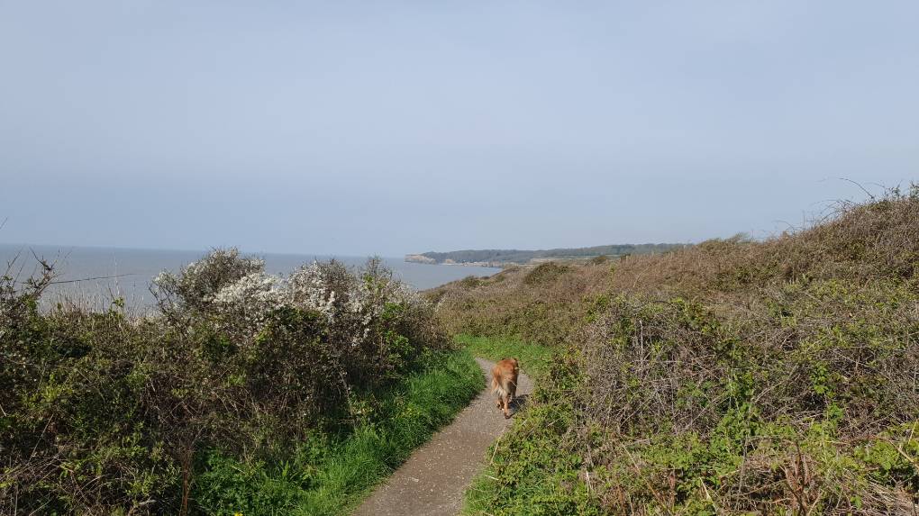 Llantwit Major, Vale of Glamorgan, Spring Sunshine...