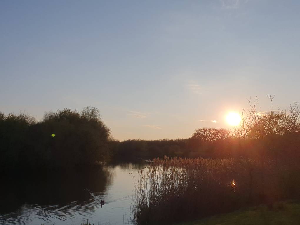 Cardiff, Cardiff, Spring sunset...