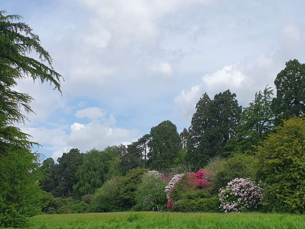 Newport, Newport, South Wales, Spring warmth ...