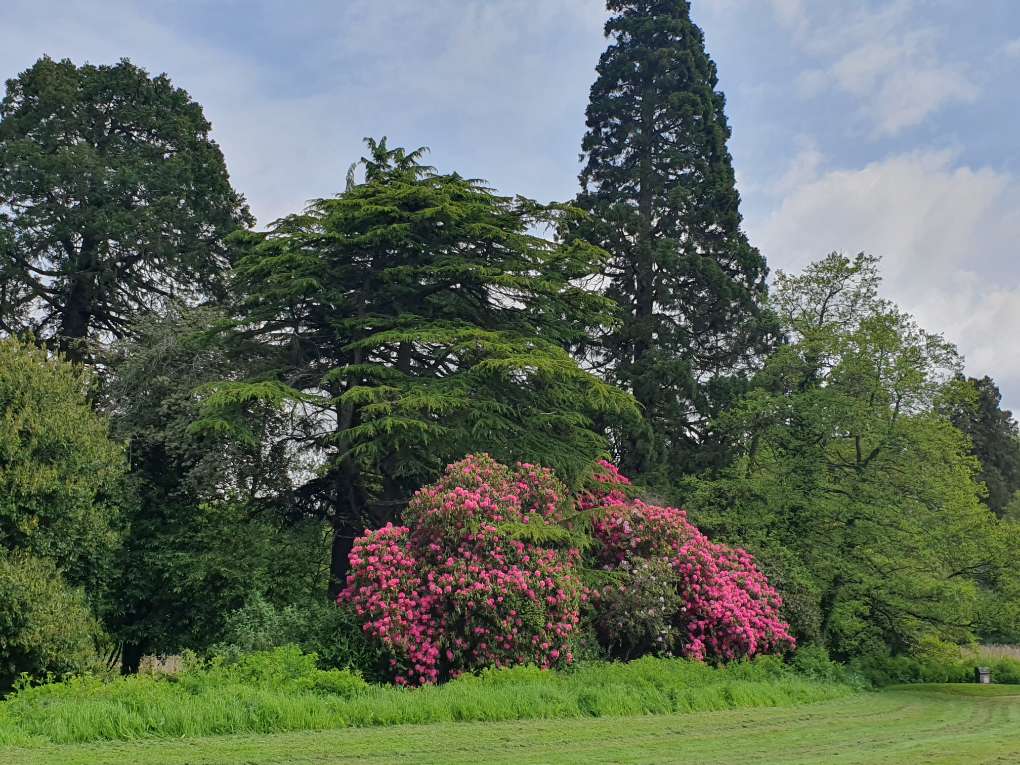 Newport, Newport, South Wales, Spring Sunshine...