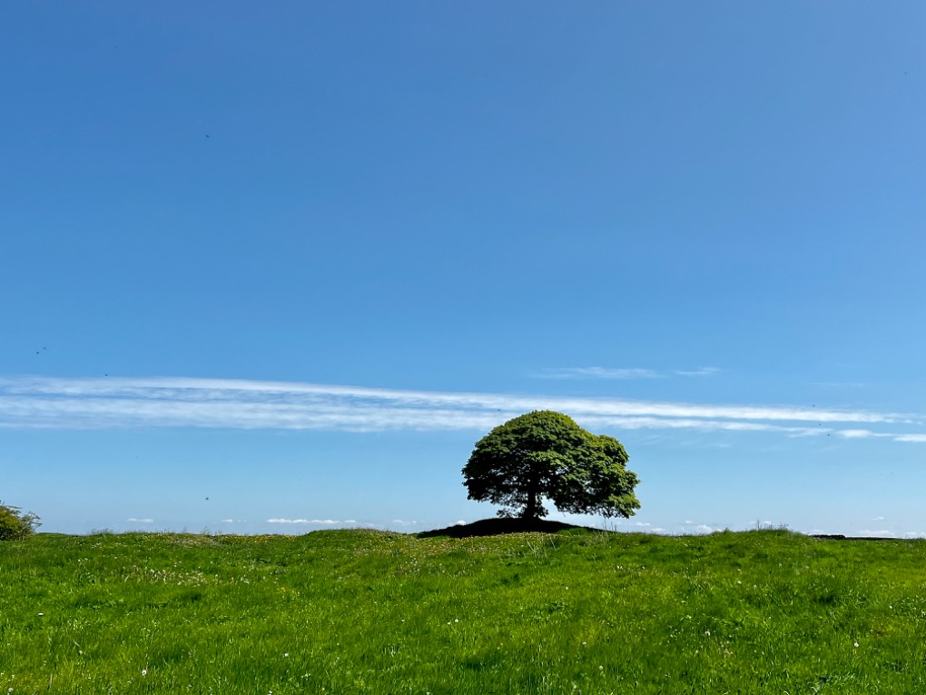 leek, staffordshire, Glorious sunday weather....
