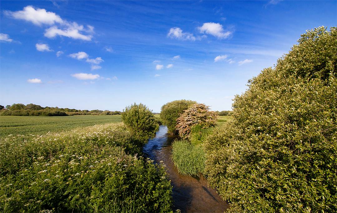 Tincleton, Dorset, Vale of the Great Dairies...