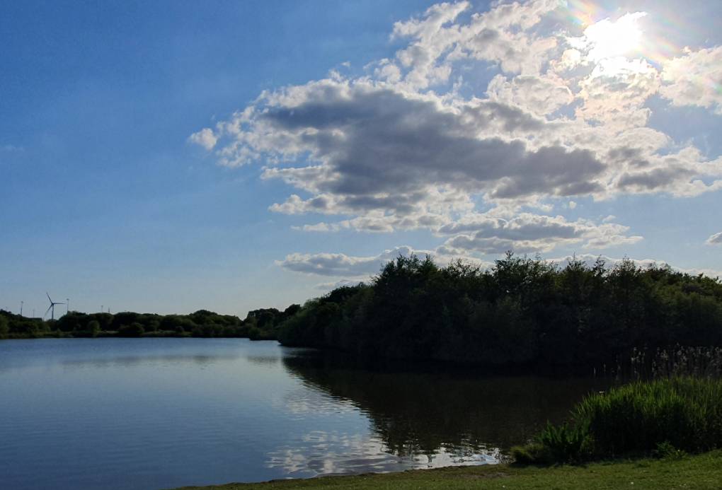 Cardiff, Cardiff, Early summer at Hendre...