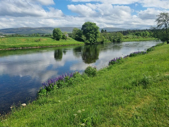 Grantown on Spey, Moray, Very low level of water in the River Spey. Cromdale Hills behind. ...
