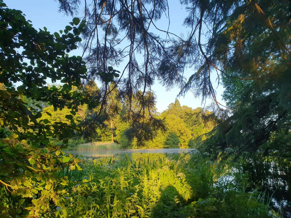 Newport, Newport, Early summer at Tredegar Park...