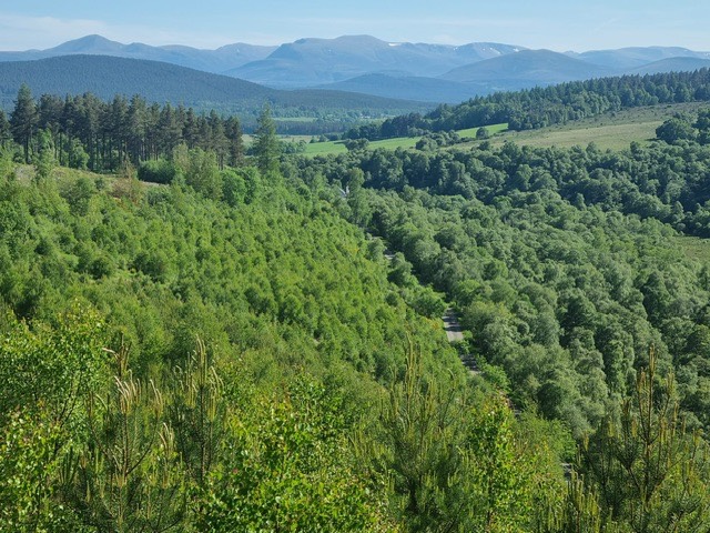 Grantown on Spey, Moray, Looking towards the Cairngorm Mountains ...