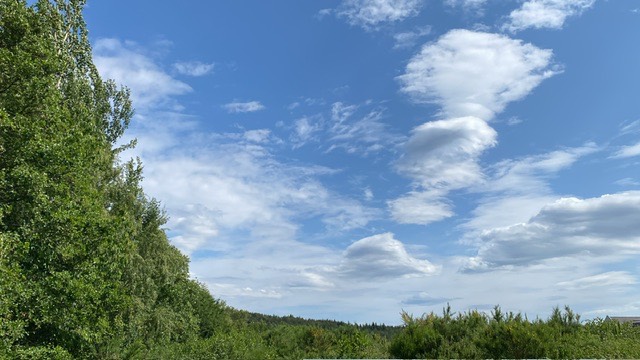 Grantown on Spey, Moray, Nice day! ...