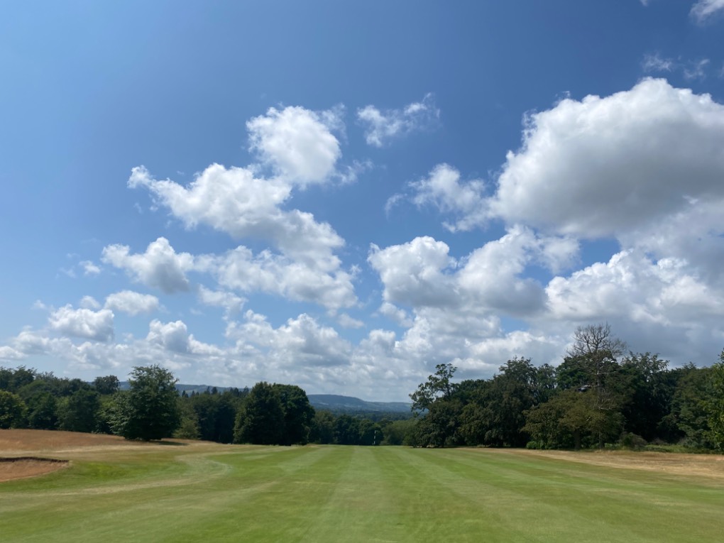 Midhurst, , Perfect, breezy summer warmth at Midhurst...