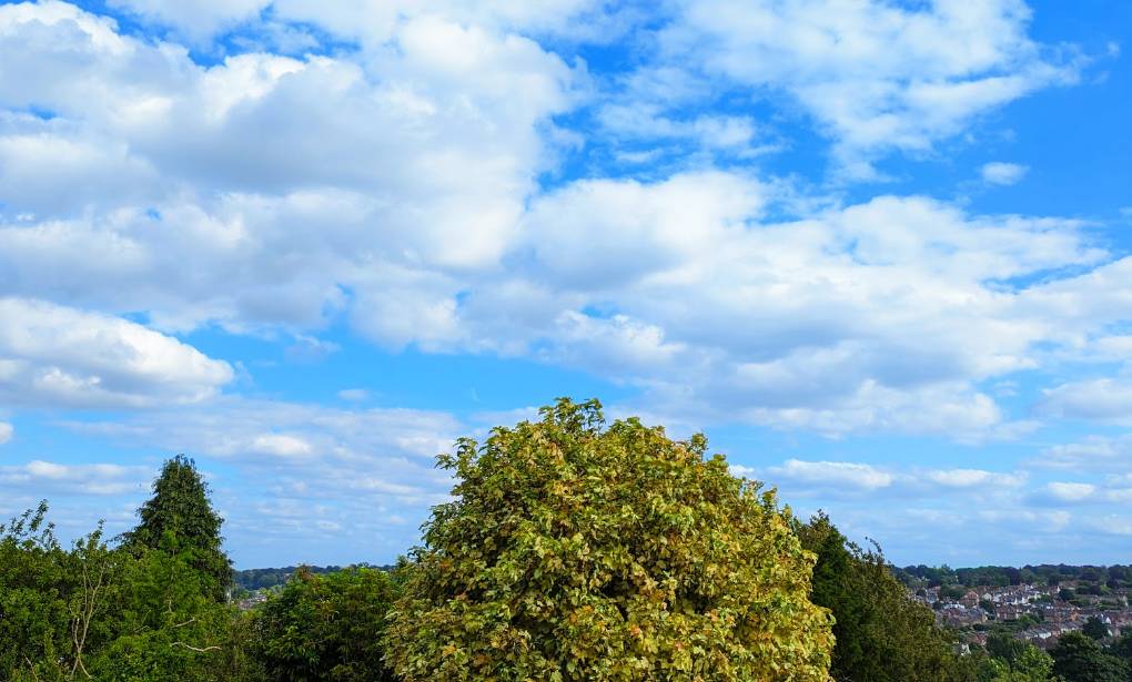Berkhamsted, Herts, Fair summer weather...
