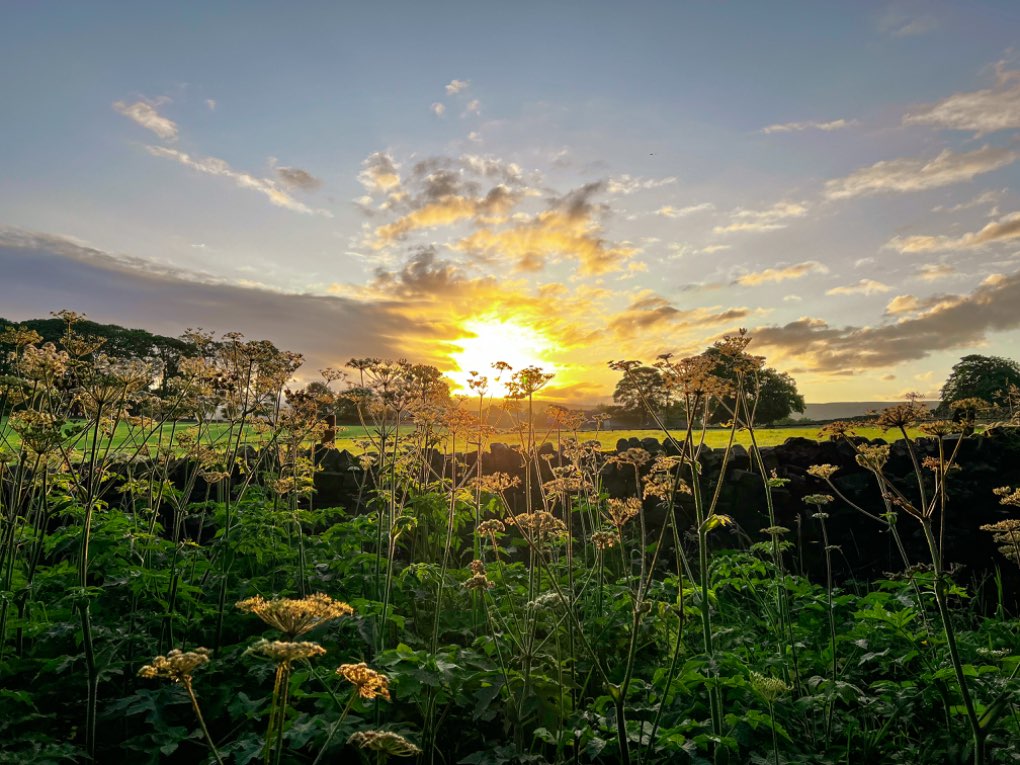 Leek, Staffordshire, Sunrise on the way home this morning....