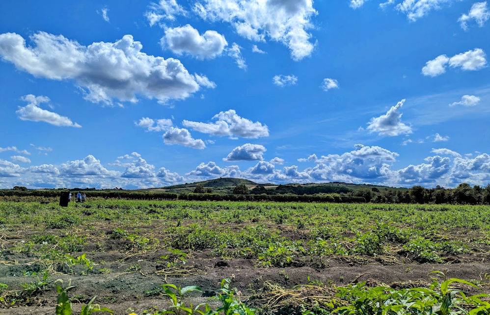 Ivinghoe, , Sunny weather at last...
