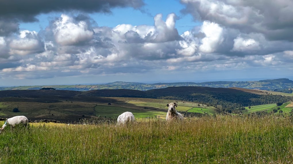 Flash, staffordshire, High up in the village of Flash , rain free day !...