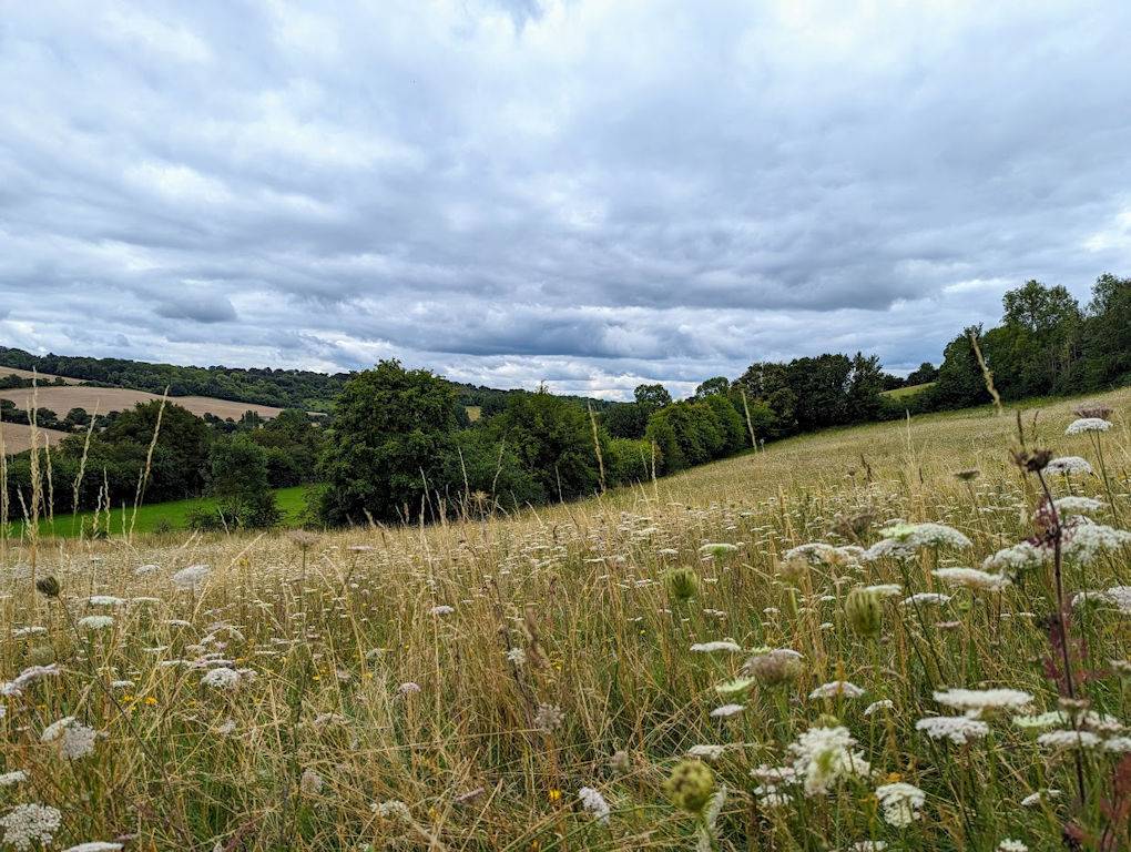 High Wycombe, Buckinghamshire, Call it summer...
