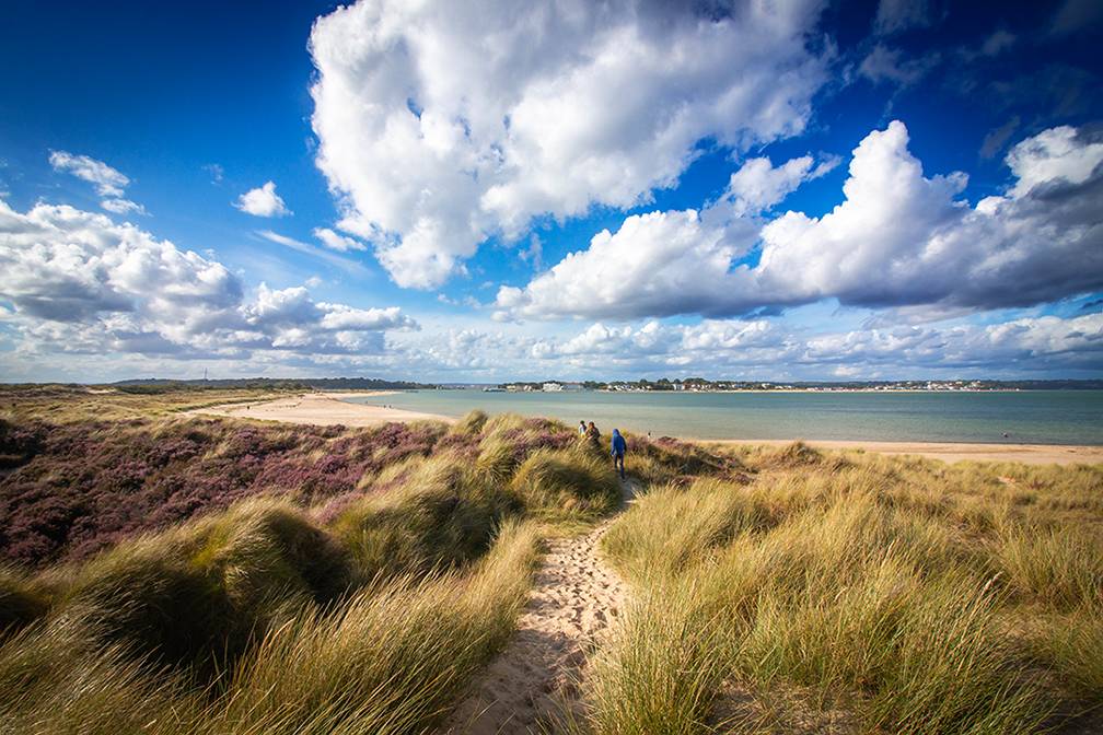 Studland, Dorset, Dune...