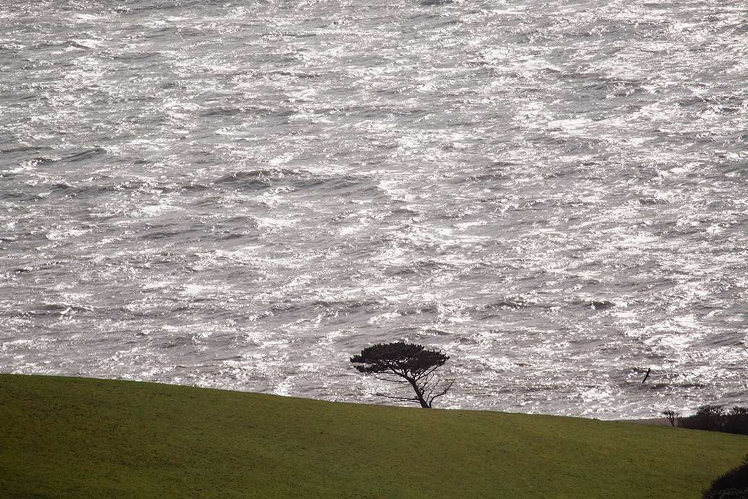 Weymouth, Dorset, A Blustery Day...