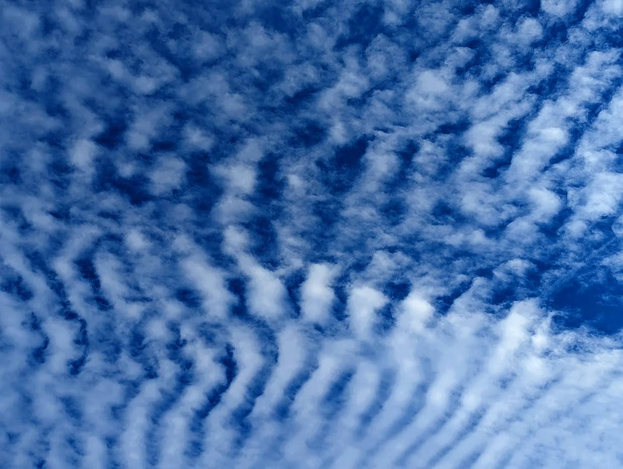 Mackerel sky Berkhamsted, Herts,, sent by Brian gaze